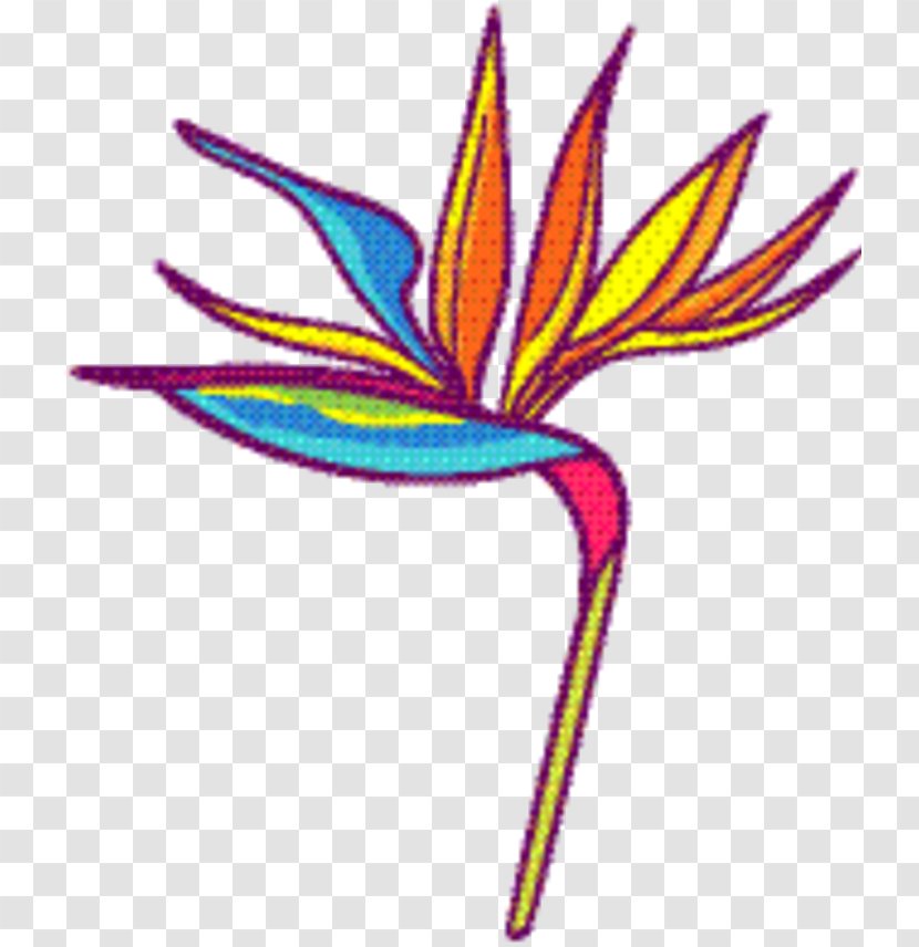 Bird Of Paradise - Petal Flower Transparent PNG