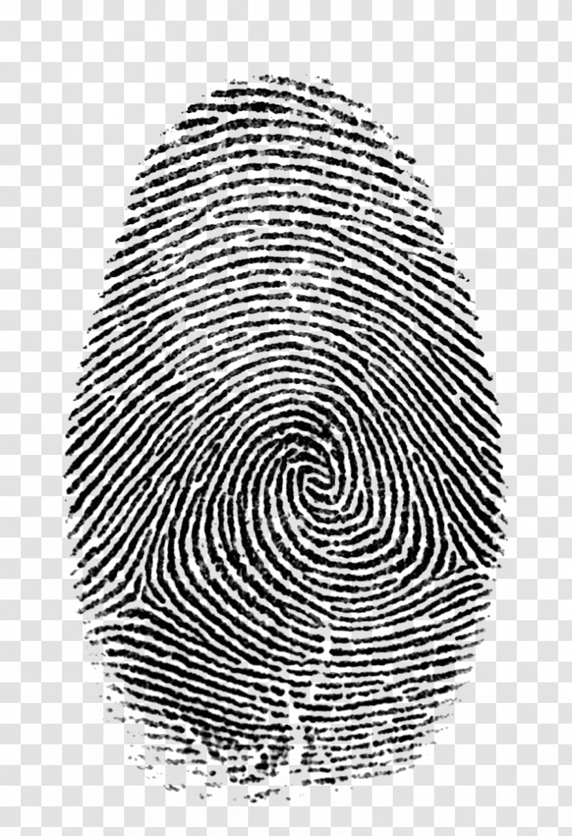Fingerprint Forensic Science Live Scan Hand - Criminal Transparent PNG