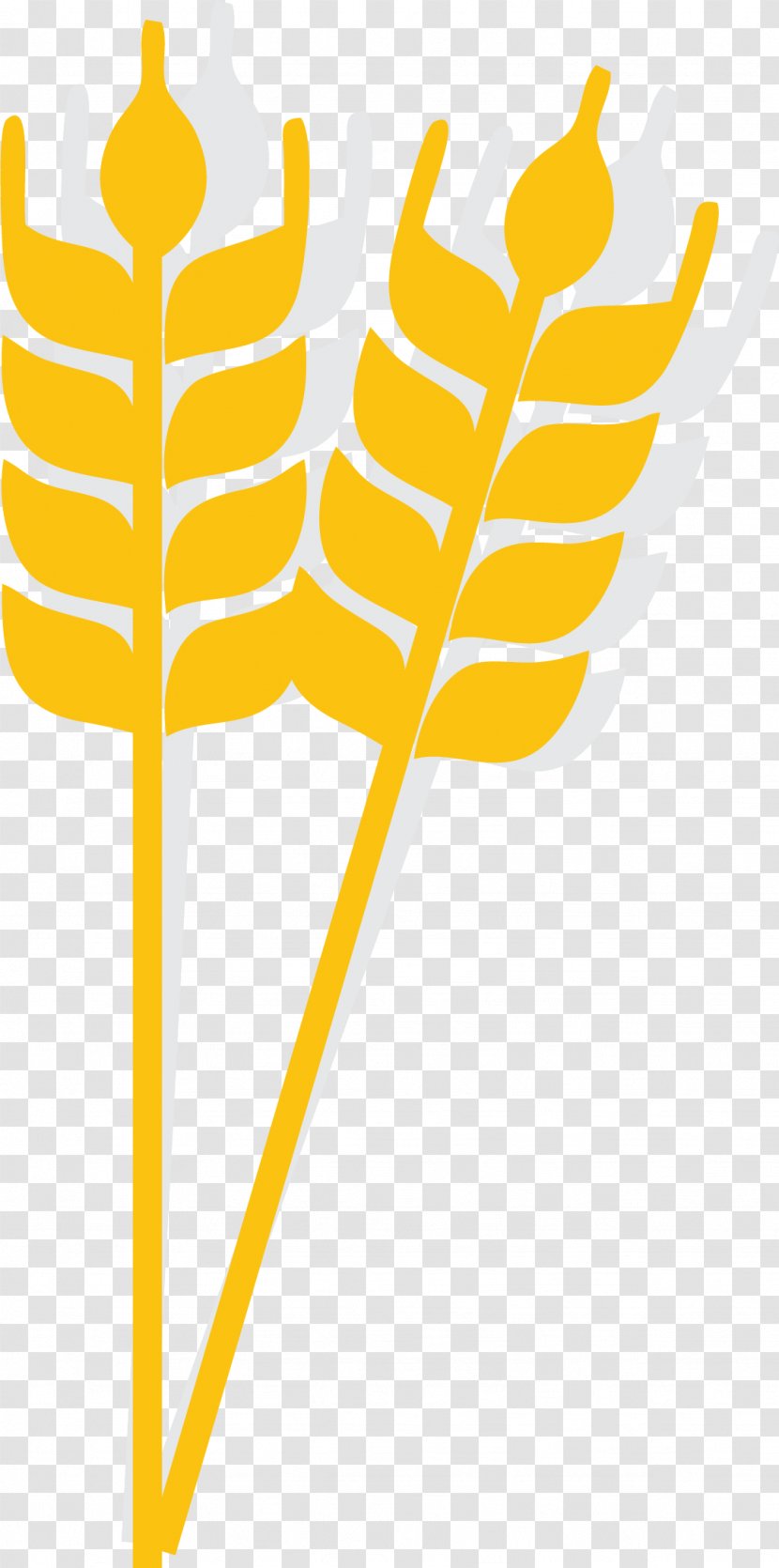 Rice Cartoon Wheat Icon - Text - Gold Spike Transparent PNG