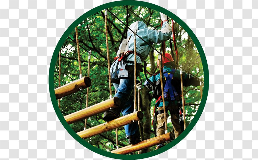 Adventure Park Amusement Mercantour National - Travel - Overlooking A Variety Of Trees Transparent PNG