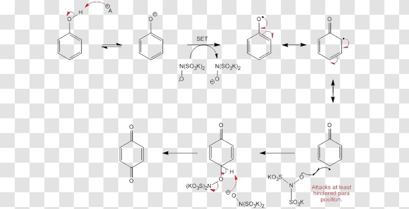 1,4-Benzoquinone Phenols Redox Radical - Oksidacija Transparent PNG