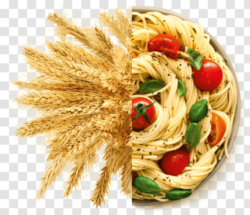 Spaghetti Alla Puttanesca Aglio E Olio Pasta Bucatini Al Dente Transparent PNG