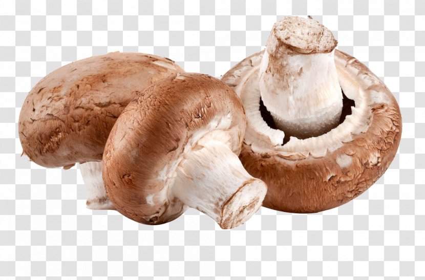 Vitamin D A Sauce N Cheese Health - Agaricus - Mushroom Transparent PNG