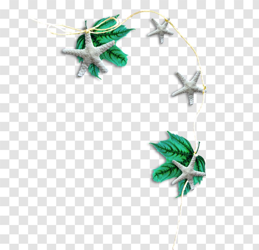 Icon - Leaf - Starfish Ornament Transparent PNG