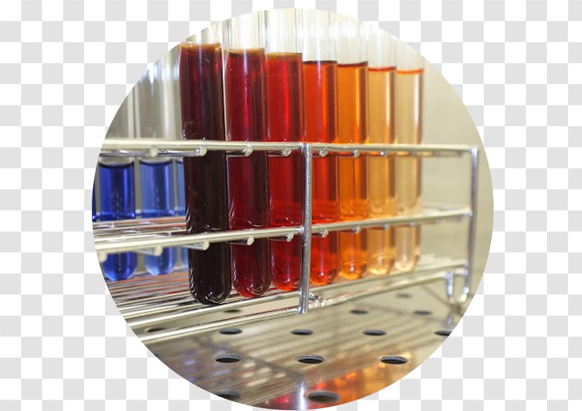 Pasteur Institute Of Lille Toxicology Medical Laboratory - Glass - Recherche Transparent PNG