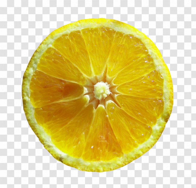 Orange S.A. Vecteur - Lemon Transparent PNG