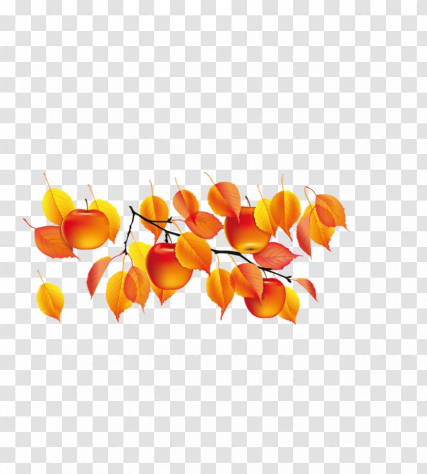 Autumn Summer Daytime Clip Art - Leaf Transparent PNG