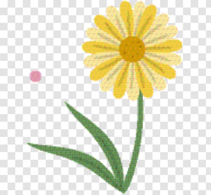 Marigold Flower - Daisy - Gerbera Plant Stem Transparent PNG