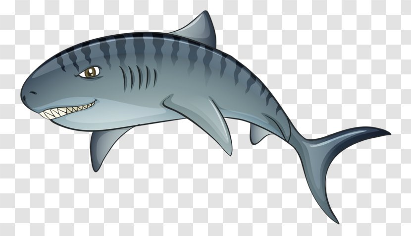 Tiger Shark Cartoon - Tigerfish - Sharks Leap Transparent PNG