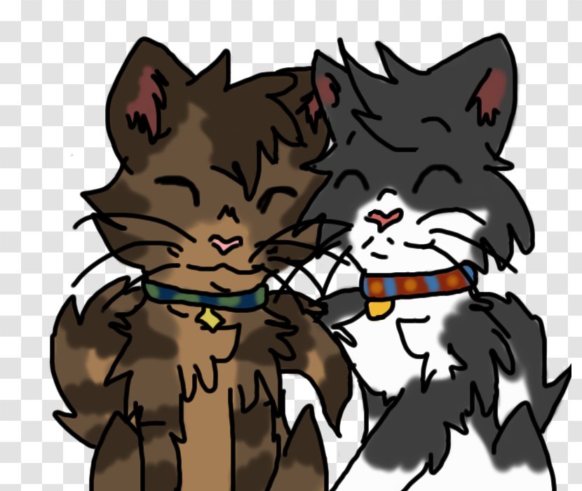 Kitten Whiskers Cat Dog Canidae Transparent PNG