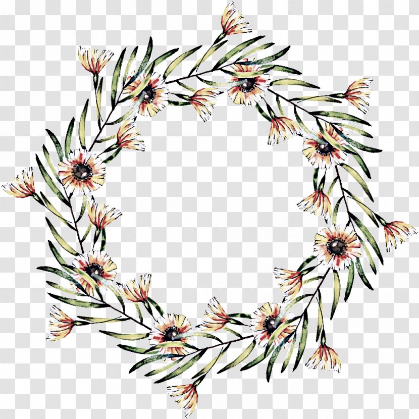 Christmas Decoration - Branch - Tree Transparent PNG