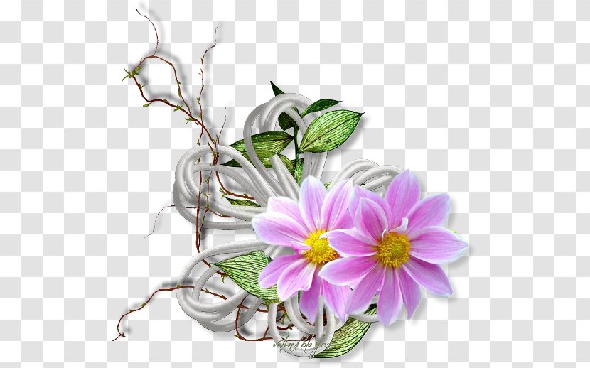 Diamond Nail Spa Floral Design Flower - Silhouette Transparent PNG