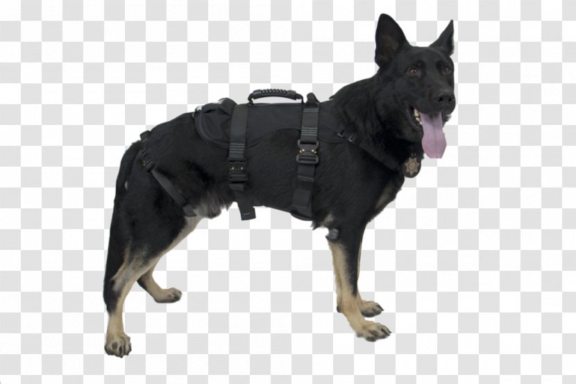 Dog Harness Police Abseiling Search And Rescue Chinese Crested - Harnais Transparent PNG