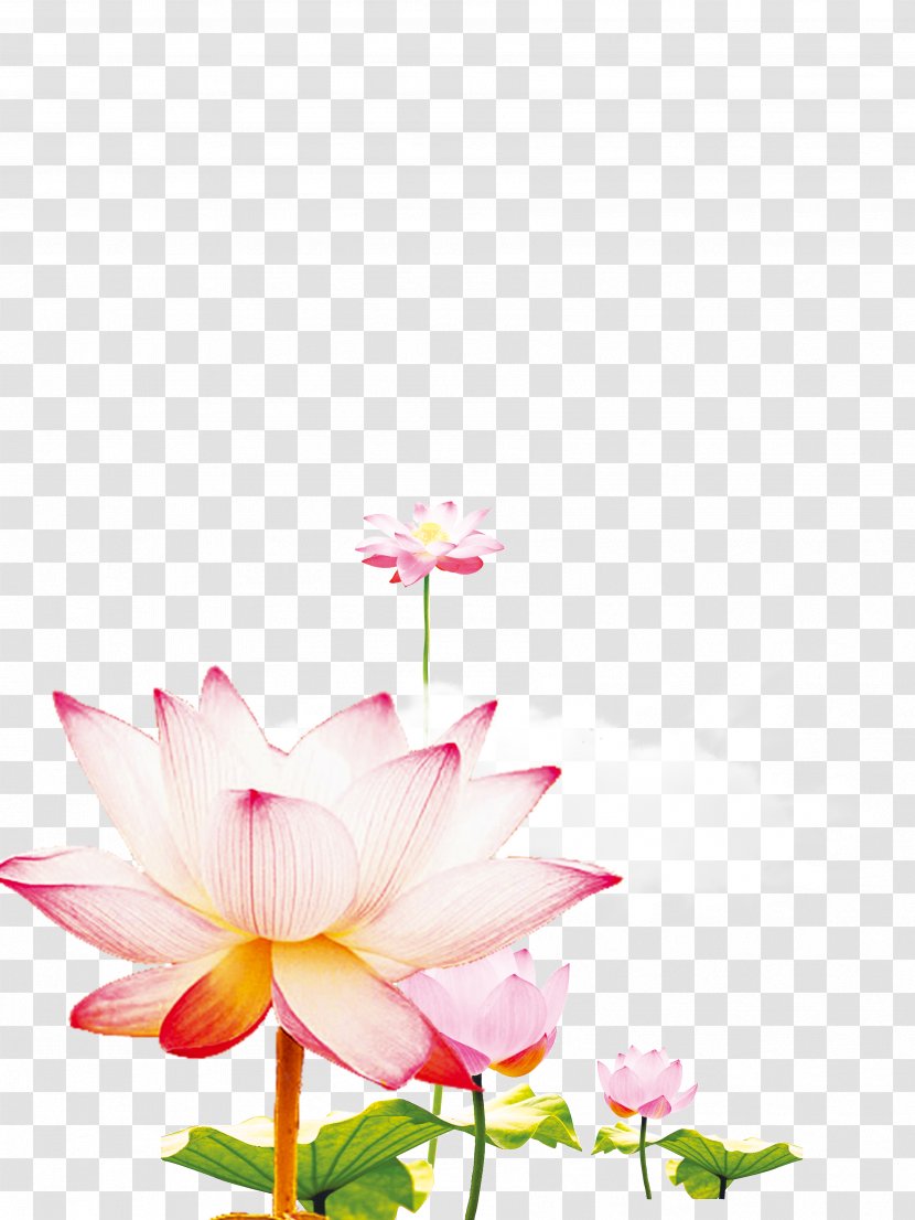 Xiazhi Computer File - Flora - Lotus Rhyme Fresh Decoration Poster Design Transparent PNG