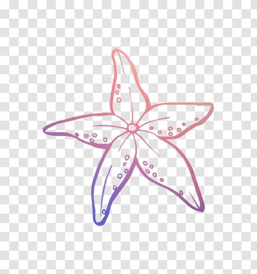 Drawing Coloring Book Vector Graphics Starfish Clip Art - Petal - Plant Transparent PNG