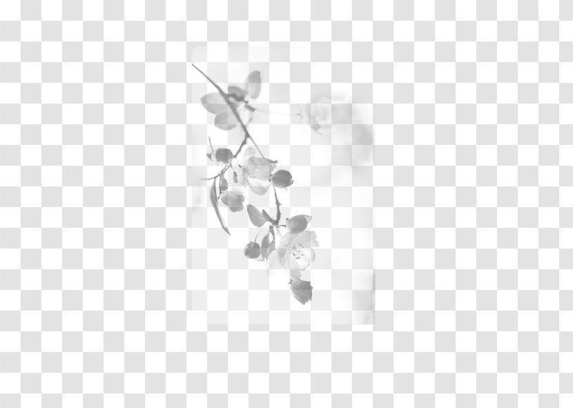 Black And White Plum Blossom - Monochrome Photography - Flower Transparent PNG
