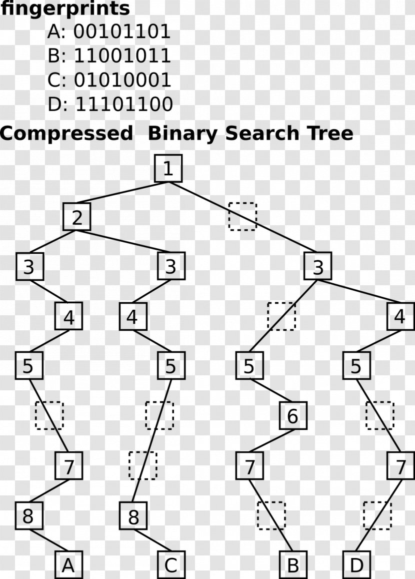 Drawing B-tree Binary Tree - Black And White Transparent PNG