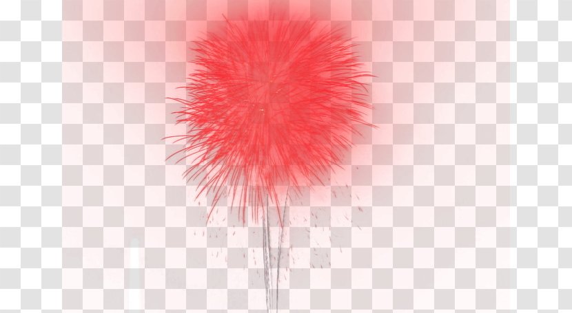 Petal Fur Computer Wallpaper - Fireworks Transparent PNG
