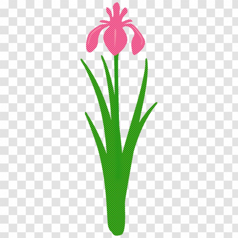 Flower Plant Petal Pedicel Stem - Iris Transparent PNG