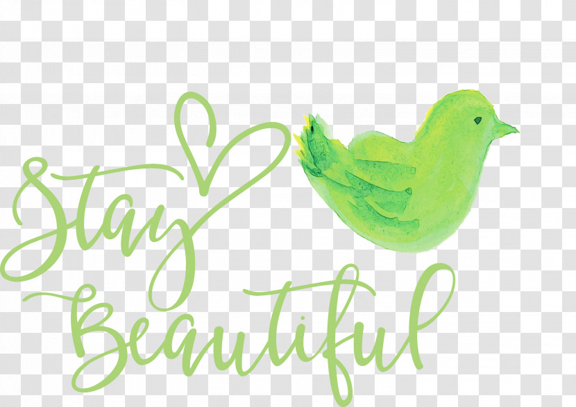 Birds Logo Beak Font Green Transparent PNG