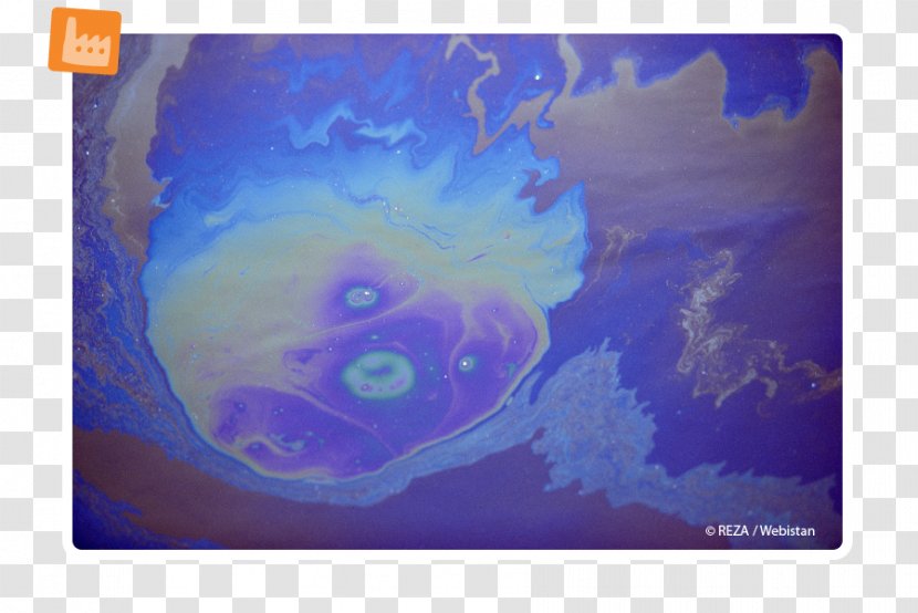 /m/02j71 Marine Invertebrates Earth Biology Desktop Wallpaper - Pollution Transparent PNG