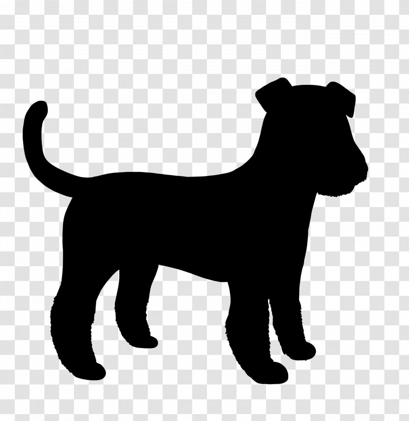 Dog Breed Bernese Mountain Puppy Great Dane Bolognese Transparent PNG