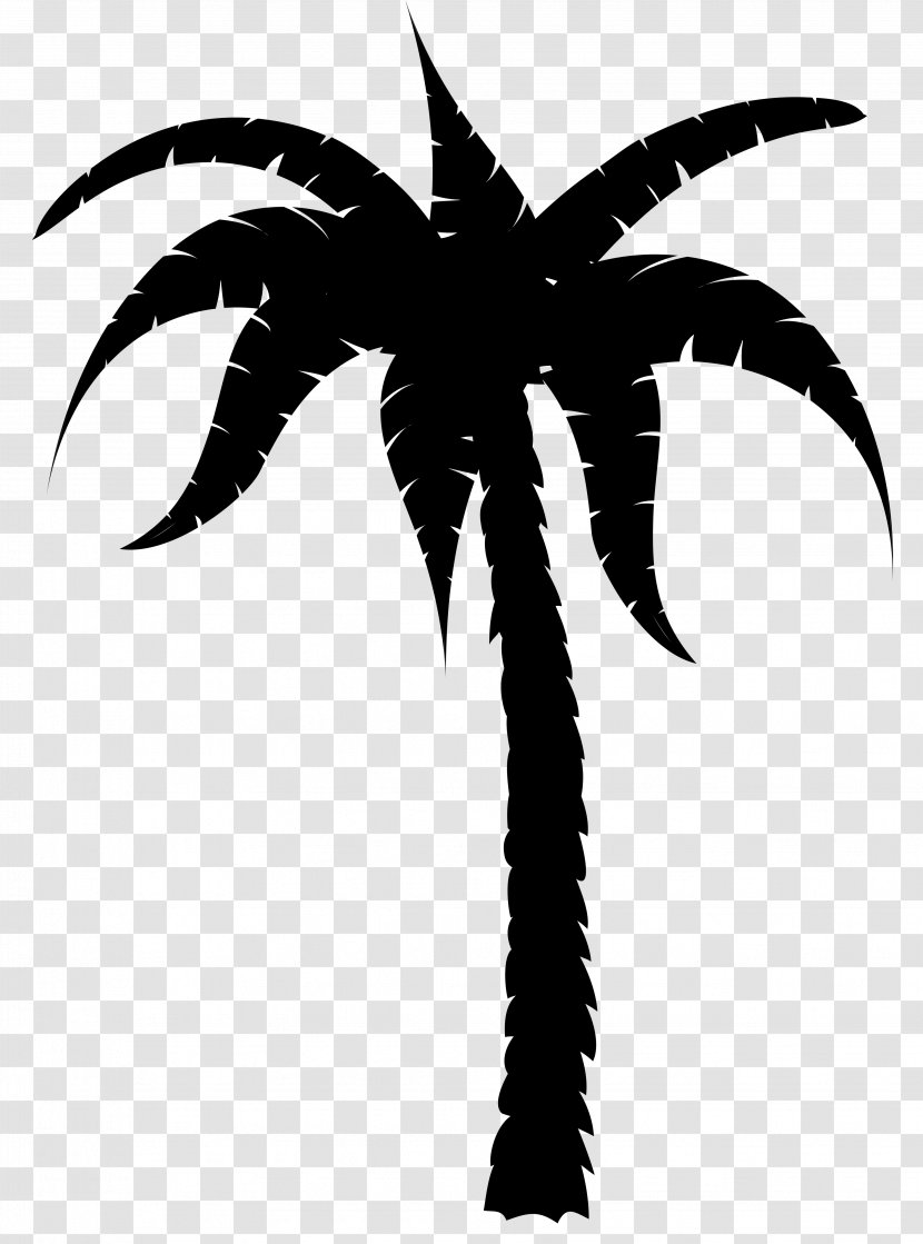 Suncoast Community High School Palm Trees Computer Science Engineering Mathematics - Blackandwhite - Course Transparent PNG