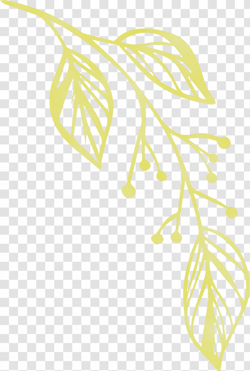 Plant Stem Leaf Yellow Line Fruit Transparent PNG