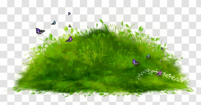 Desktop Wallpaper Clip Art - Tree - Grass Transparent PNG
