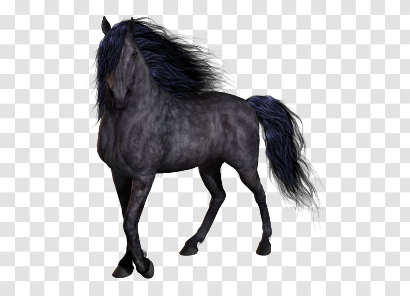 Horse Clip Art - Mustang Transparent PNG