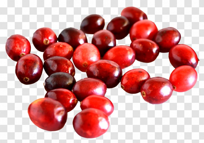Frutti Di Bosco Redcurrant Cranberry Lingonberry Nutrition - Auglis Transparent PNG