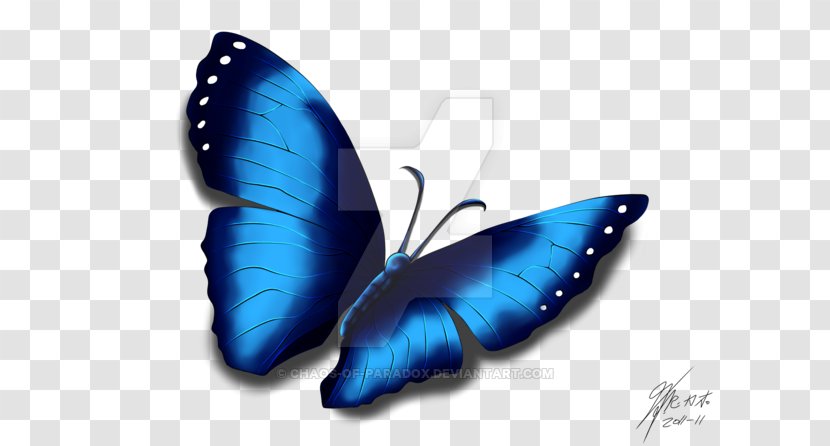 Cobalt Blue Moth - Moths And Butterflies - Butterfly Effect Transparent PNG