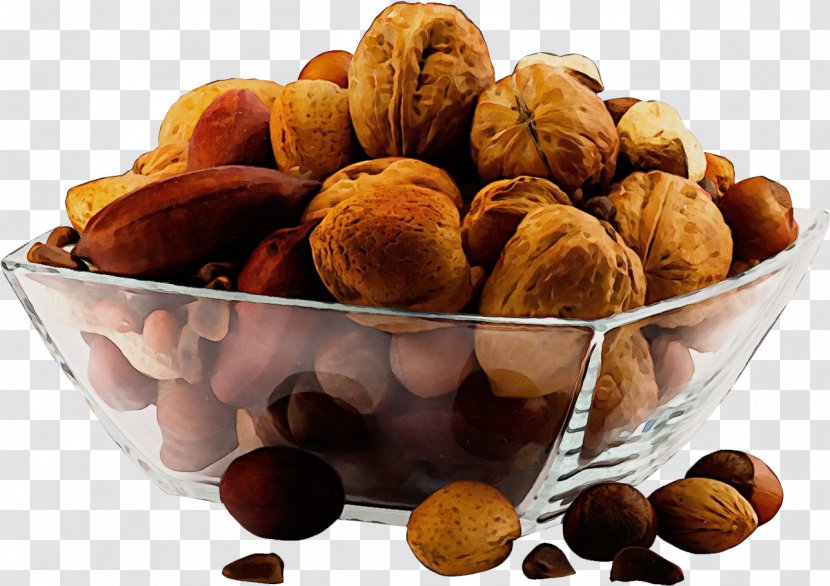 Watercolor Plant - Nuts Seeds - Dried Fruit Cuisine Transparent PNG