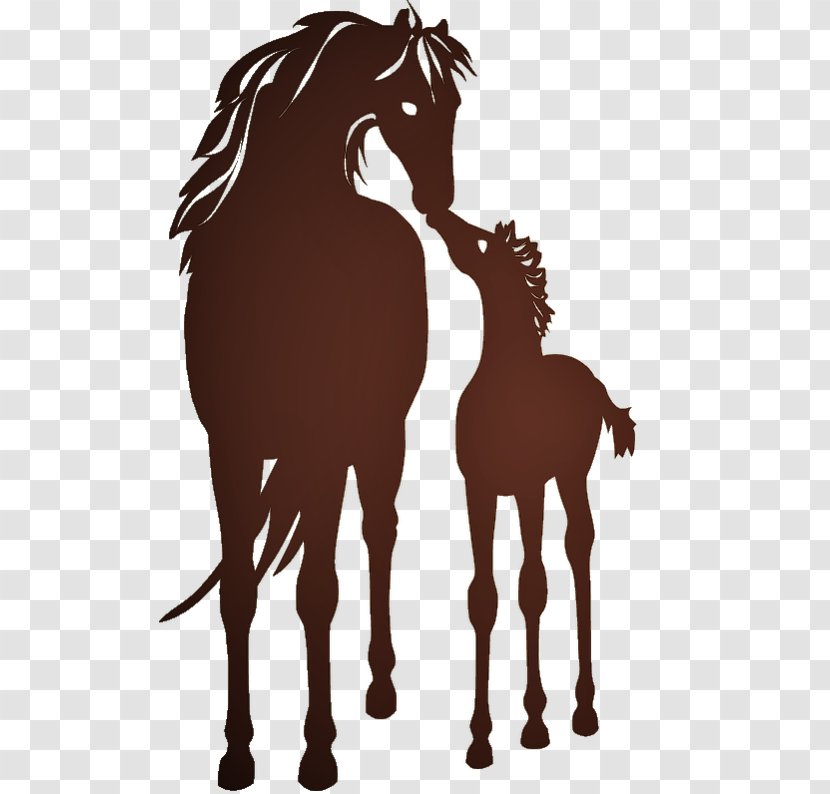 Mustang Colt Mare Stallion Pony - Horse Supplies Transparent PNG