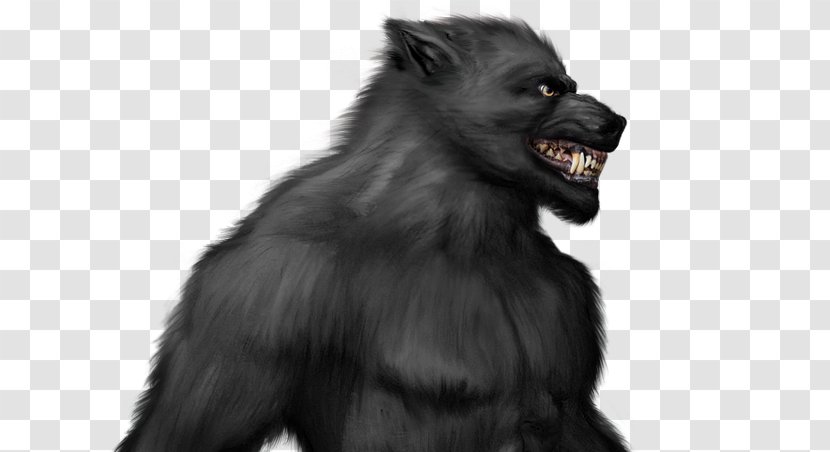 Werewolf Gorilla Legend Gray Wolf - Fictional Character - LObo Transparent PNG