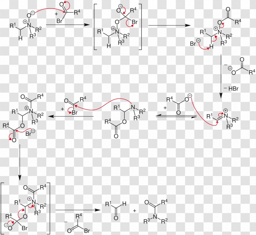 Strategic Applications Of Named Reactions In Organic Synthesis Polonovski Reaction Rearrangement Mechanism Acetic Anhydride - Parallel - Common Berthing Transparent PNG