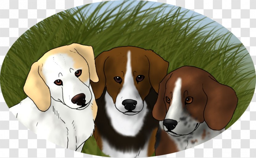 Beagle English Foxhound American Harrier Treeing Walker Coonhound - Carnivoran - Peter S Transparent PNG