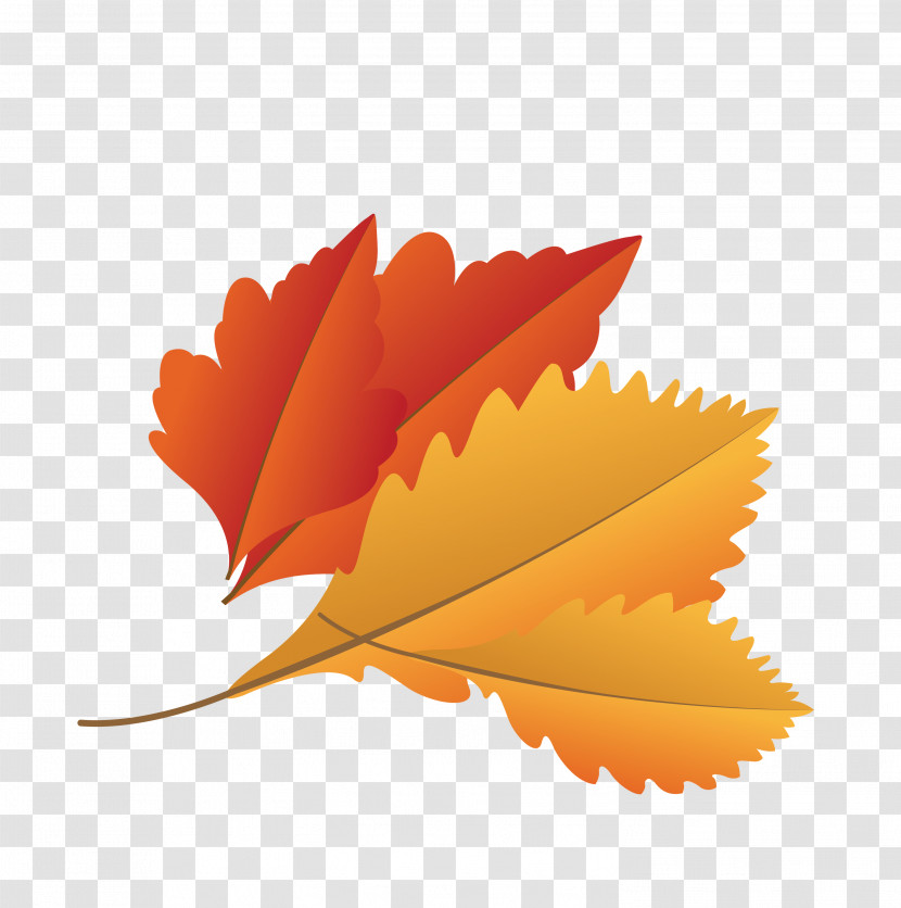 Maple Leaf Transparent PNG