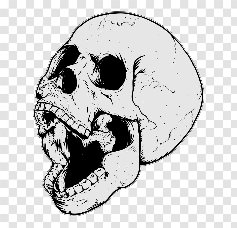 Skull Drawing - Head Transparent PNG