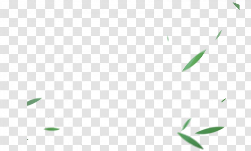 Leaf Logo Font - Floating Bamboo Creative Transparent PNG