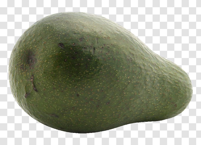 Avocado Melon - Fruit Transparent PNG