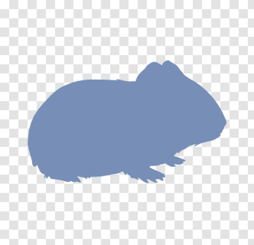 Domestic Rabbit Hare Dog Canidae - Snout Transparent PNG