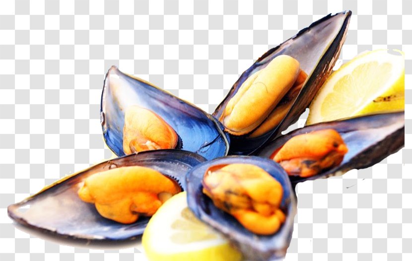 Blue Mussel The Irish Harp Restaurant Clam - Seafood - MEJILLONES Transparent PNG