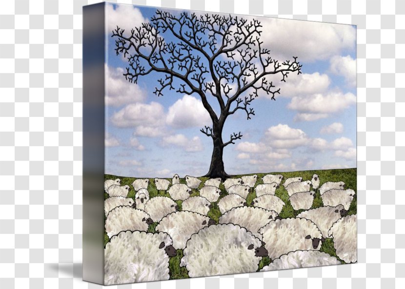 Gallery Wrap Sheep Canvas Art Branching Transparent PNG