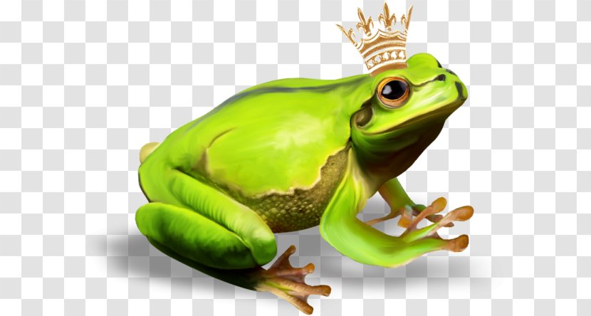 The Frog Prince - Ranidae Transparent PNG