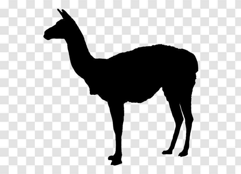 Llama Deer Clip Art - Livestock Transparent PNG