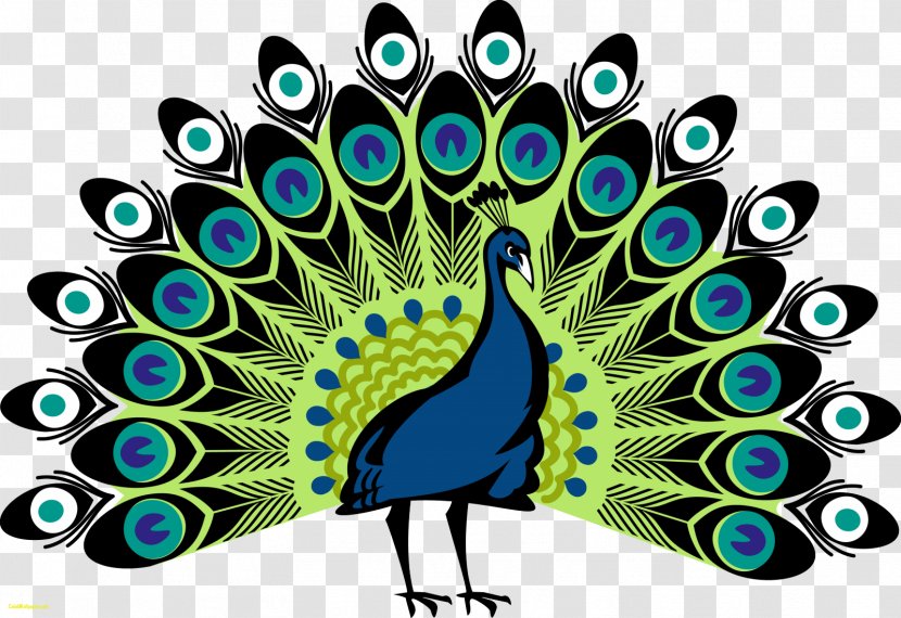 Peafowl Drawing Symbol Coat Of Arms Clip Art - Heraldry - Peacock Transparent PNG