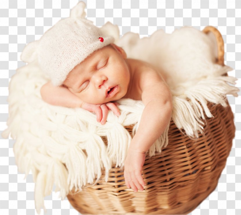 Infant Photography Memory Box Childbirth - Patter Transparent PNG