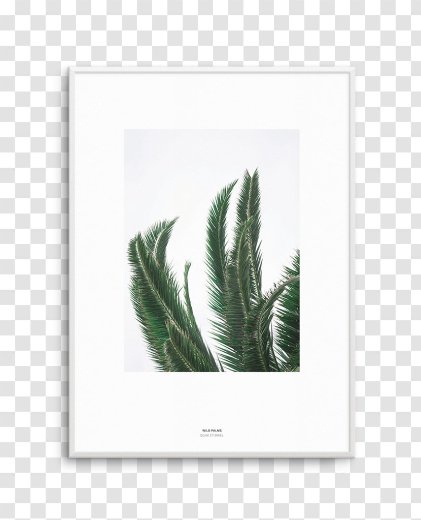 Fine-art Photography Adolescence Poster - Silhouette - Watercolor Monstera Transparent PNG