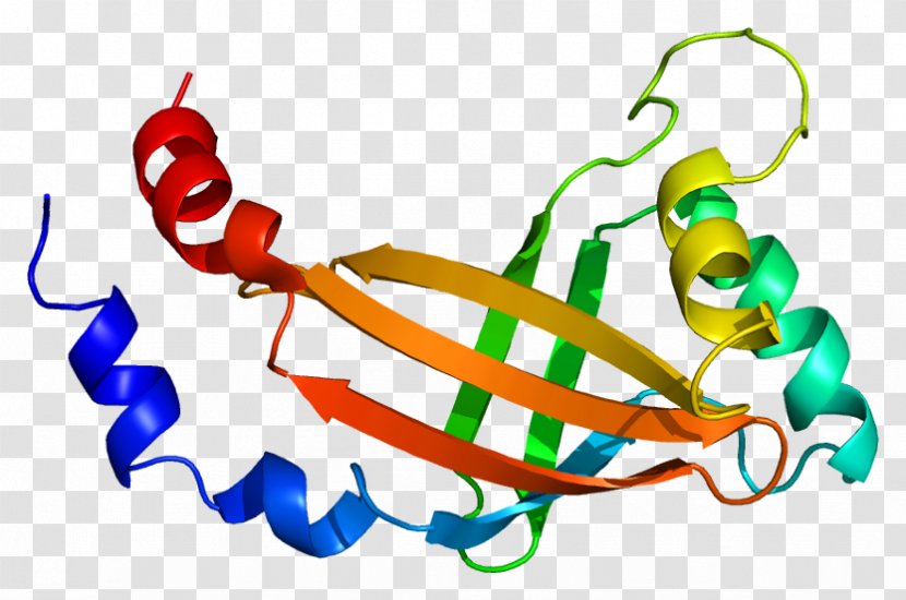 RUNX1 CBFB RUNX2 Core Binding Factor Protein - Frame - Watercolor Transparent PNG